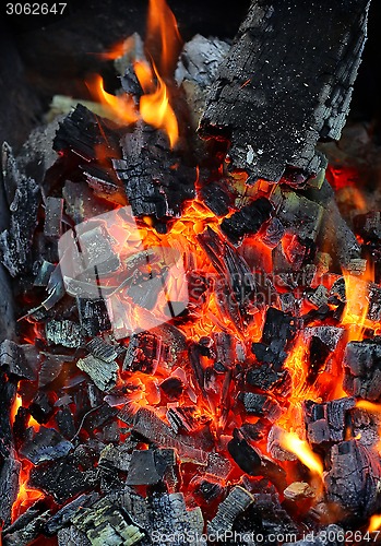 Image of Live coals