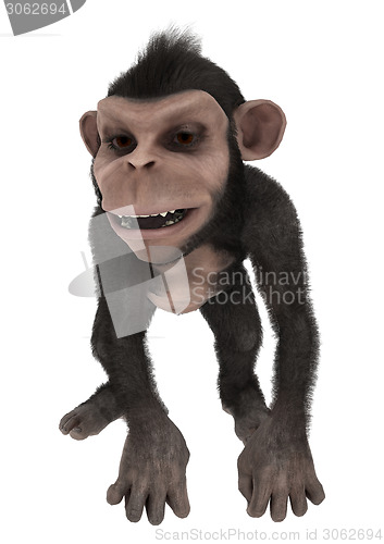 Image of Little Chimpanzee