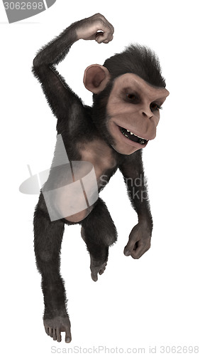 Image of Little Chimpanzee