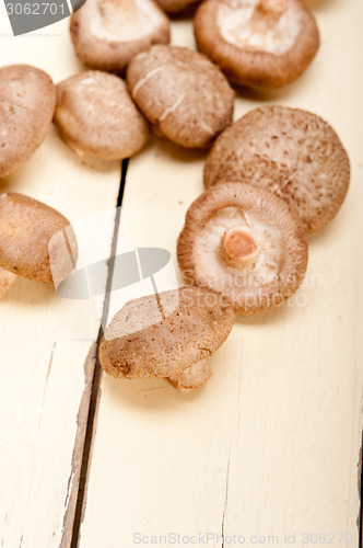 Image of shiitake mushrooms