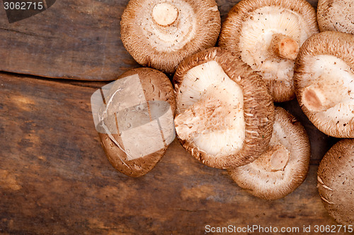 Image of shiitake mushrooms