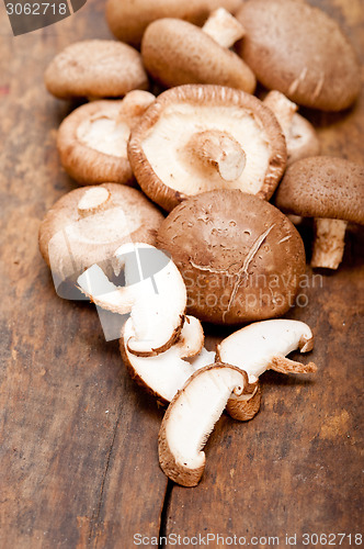 Image of shiitake mushrooms