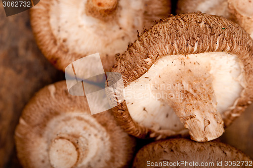 Image of shiitake mushrooms