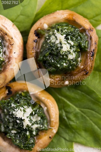 Image of mushrooms stuffed with spinach