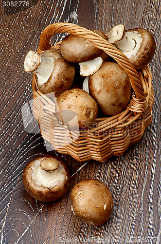 Image of Portabello Mushroom