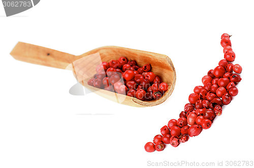 Image of Red Peppercorns