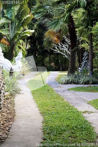 Image of road in the jungle