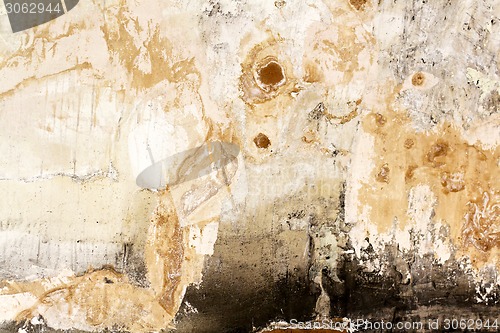 Image of Mouldy wall