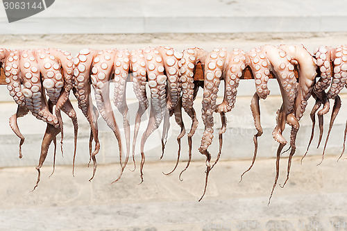 Image of Sun-dried octopus