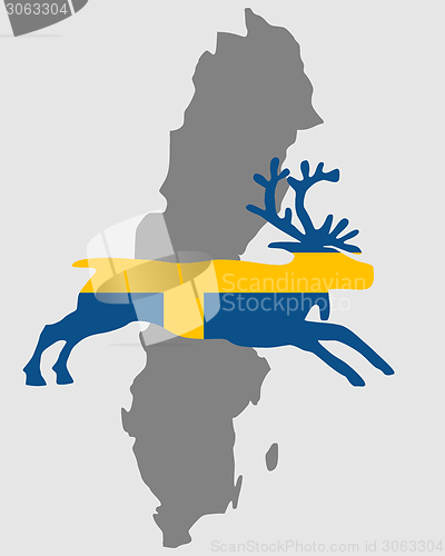 Image of Swedish reindeer