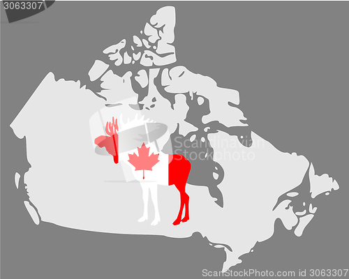 Image of Canadian moose