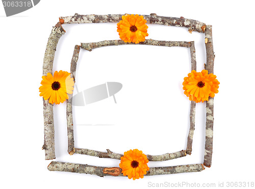 Image of Wooden frame with calendula