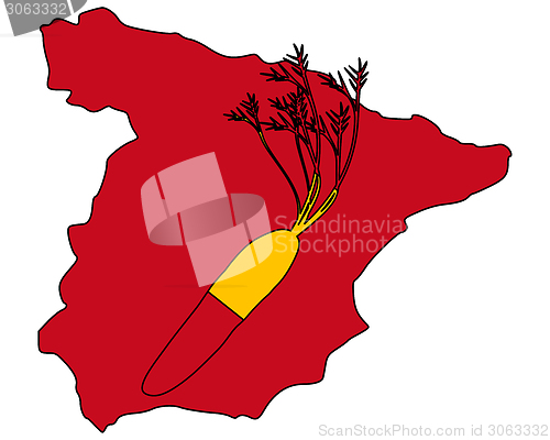 Image of Spanish carrot