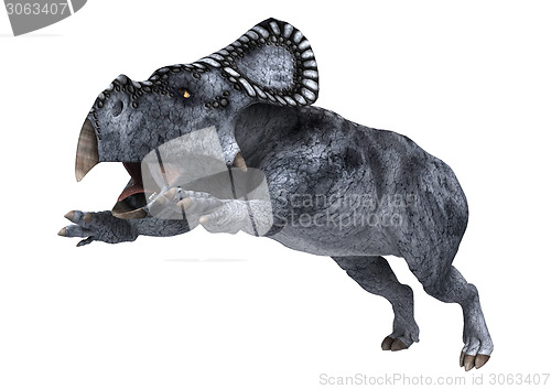 Image of Dinosaur Protoceratops