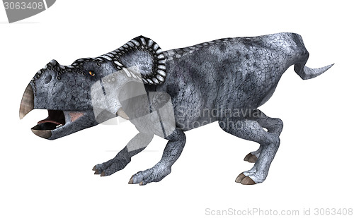 Image of Dinosaur Protoceratops