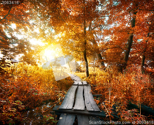 Image of Autumn and bridge