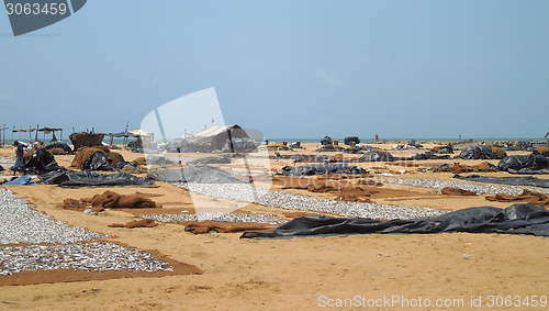 Image of fish market