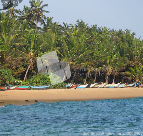 Image of tropical beach scenery