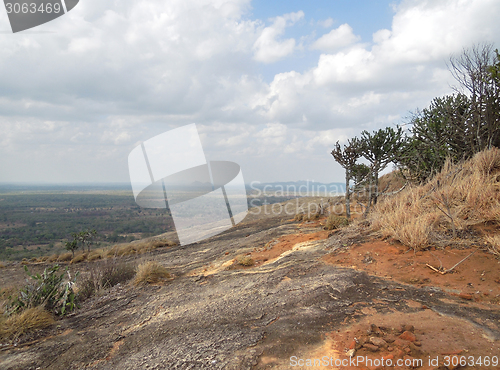 Image of around Sigiriya