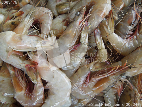 Image of fresh prawns