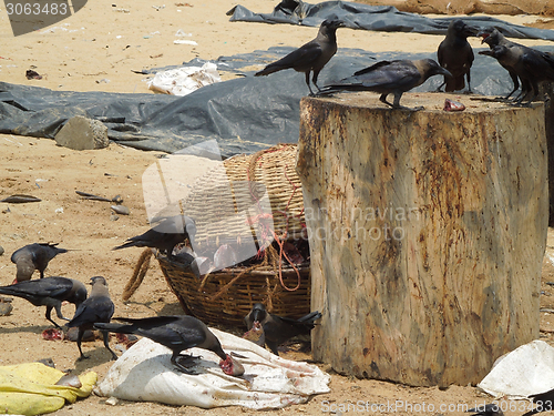 Image of fish market