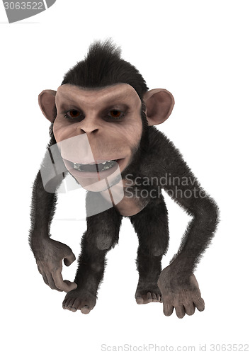 Image of Little Chimpanzee