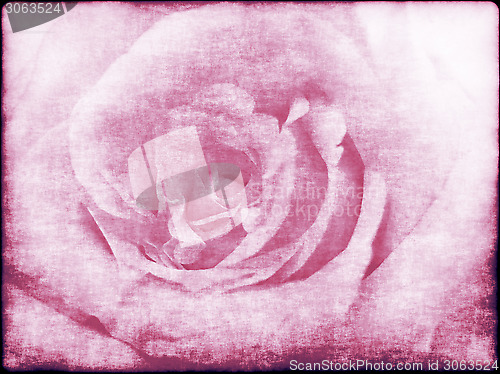 Image of Grunge abstract background with rose