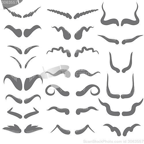 Image of set of horns