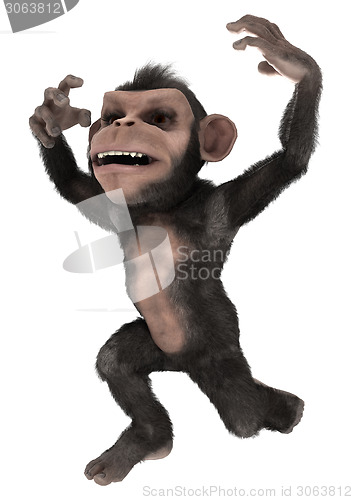 Image of Little Chimpanzee