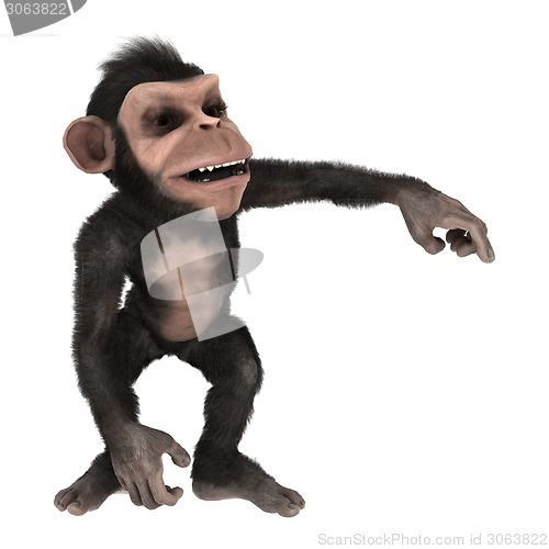 Image of Little Chimpanzee