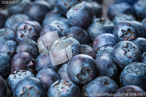 Image of Blueberries background