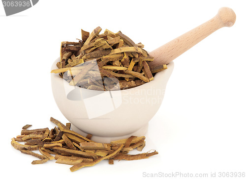 Image of Amur Cork Tree Bark Herb