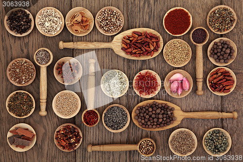 Image of Spice and Herb Sampler