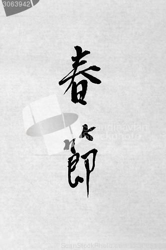 Image of Spring Festival Chinese Calligraphy