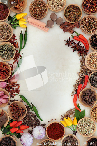 Image of Spice and Herb Border