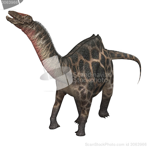 Image of Dinosaur Dicraeosaurus