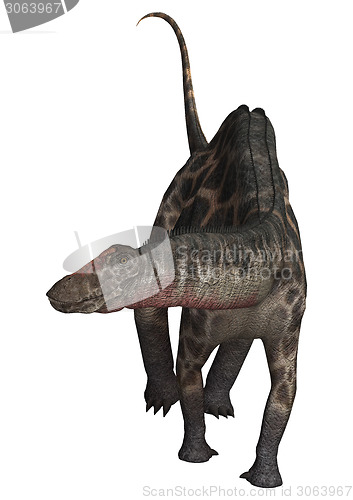 Image of Dinosaur Dicraeosaurus