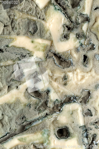 Image of Macro of blue cheese