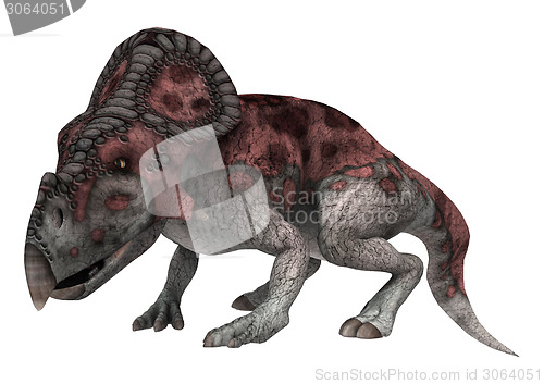 Image of Dinosaur Protoceratops