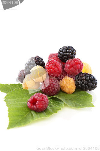Image of Raspberries and blackberries with green leaves.