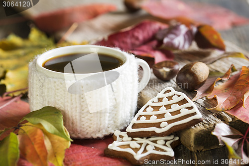 Image of Hot tea and ginger biscuits.