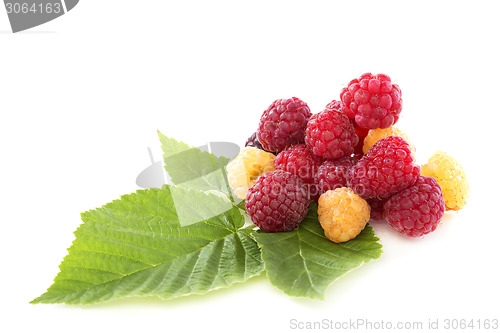 Image of Ripe raspberries.