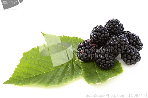 Image of Ripe berry blackberry closeup.