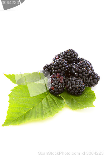 Image of Blackberries.