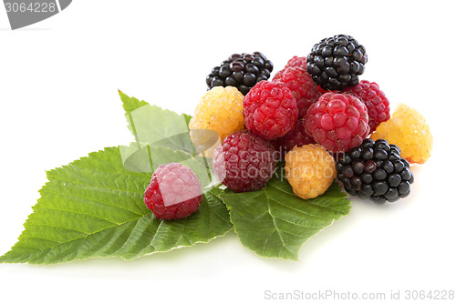 Image of  Raspberry and blackberry.