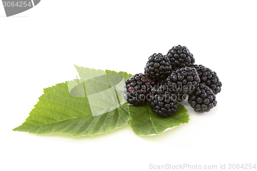 Image of Ripe blackberries.