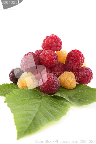 Image of Red, white and black raspberries.