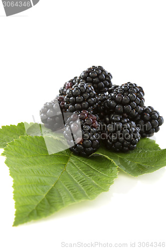 Image of Blackberry fruit with leafs.