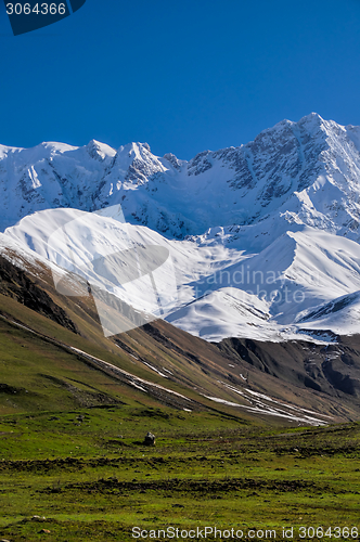 Image of From Mestia to Ushguli