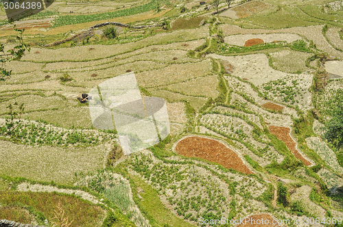 Image of Terraced fields